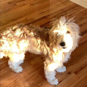 Meet your Posher, Victoria